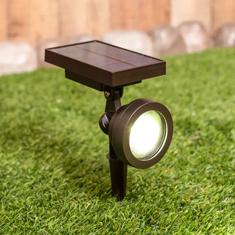 Best Solar Spot Lights to Light Up Your Garden