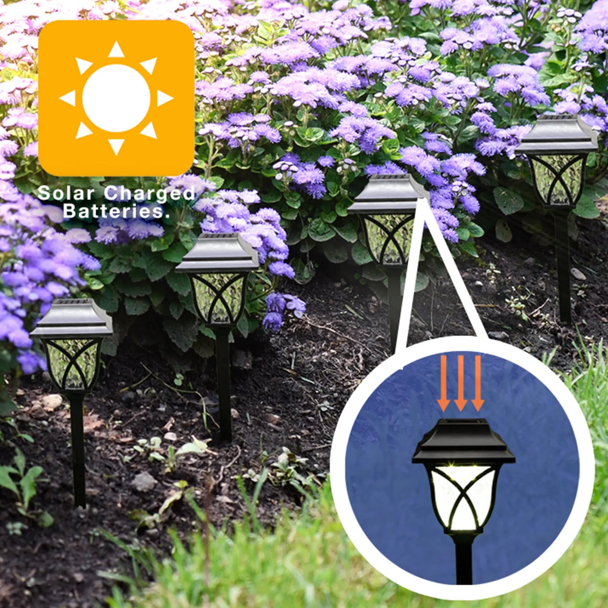 Collin Solar Pathway Lights, Set of 4 ShopFGI