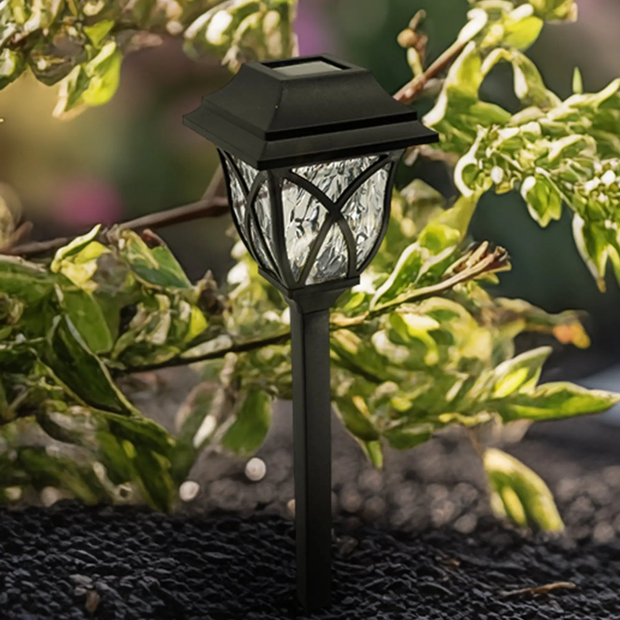 Collin Solar Pathway Lights, Set of 4 ShopFGI