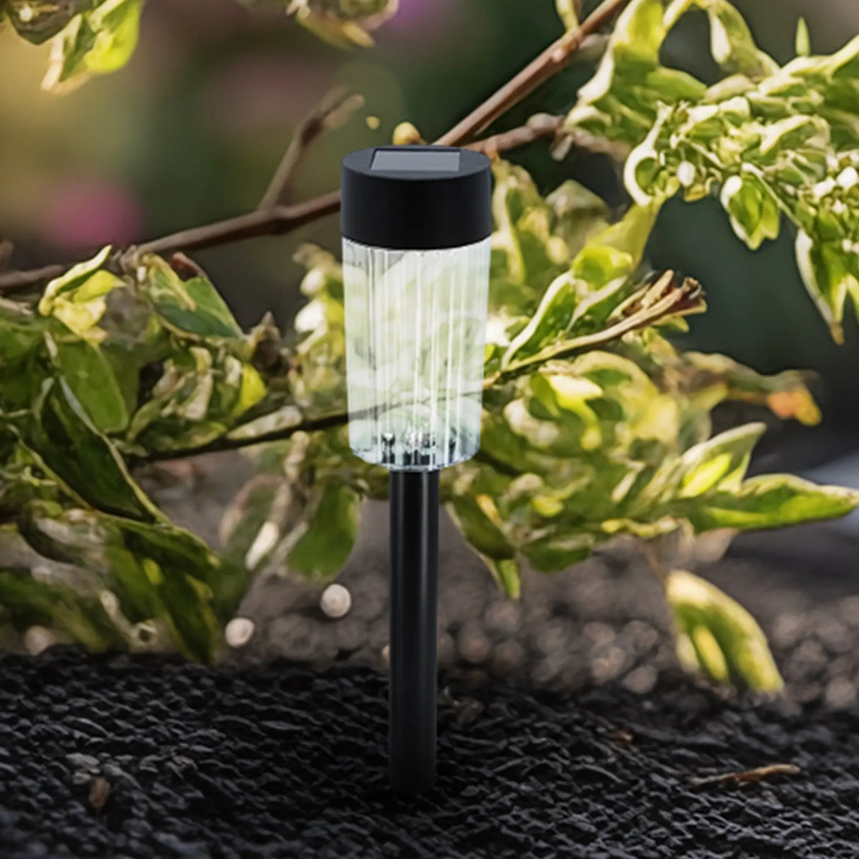 Harley Solar Pathway Lights (Black) Crosslight