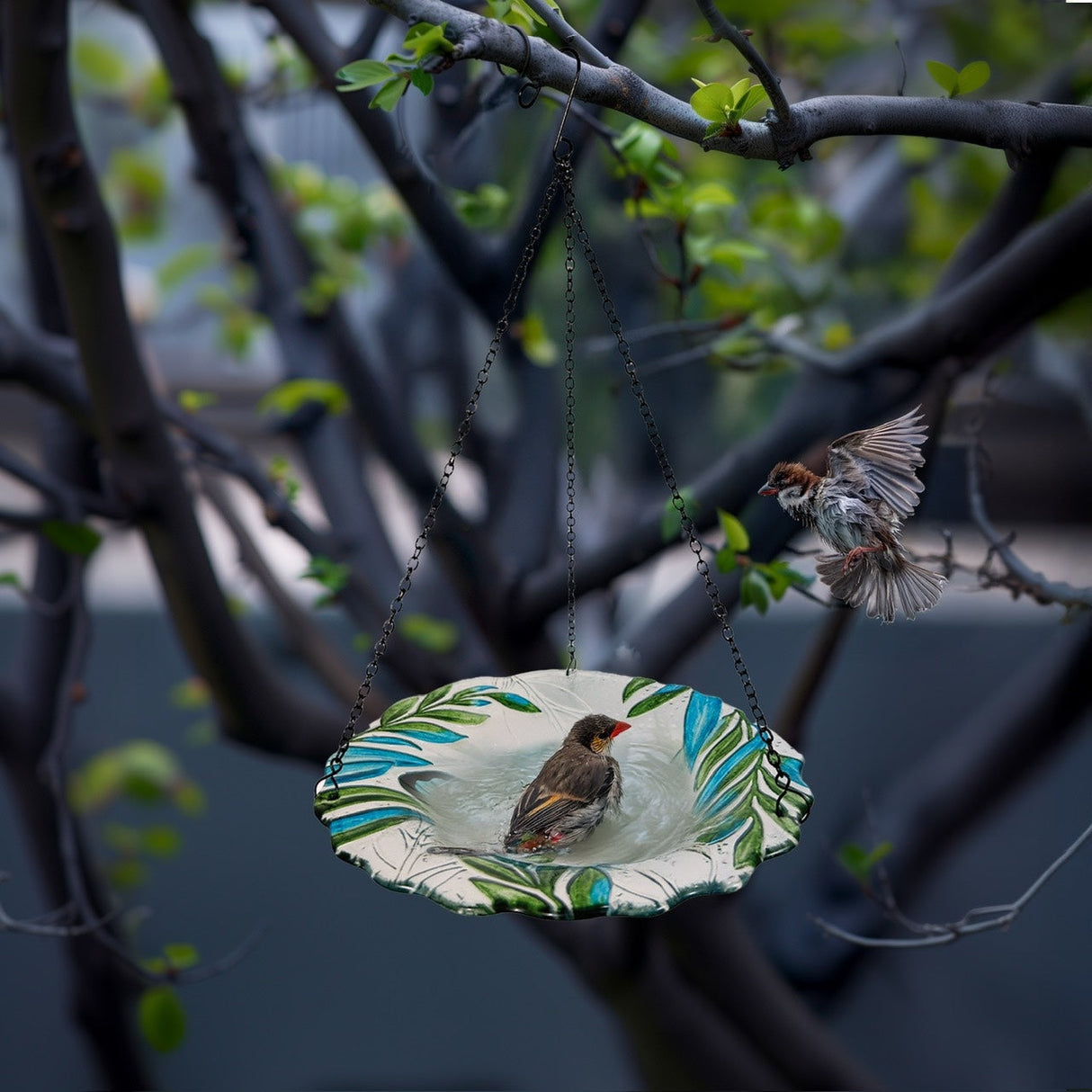 Hanging Bird Bath - 8 Inch Bird Baths for Outdoors, Peacock Glass BirdBath Outdoor Birdfeeders for Garden and Patio Decor ShopFGI