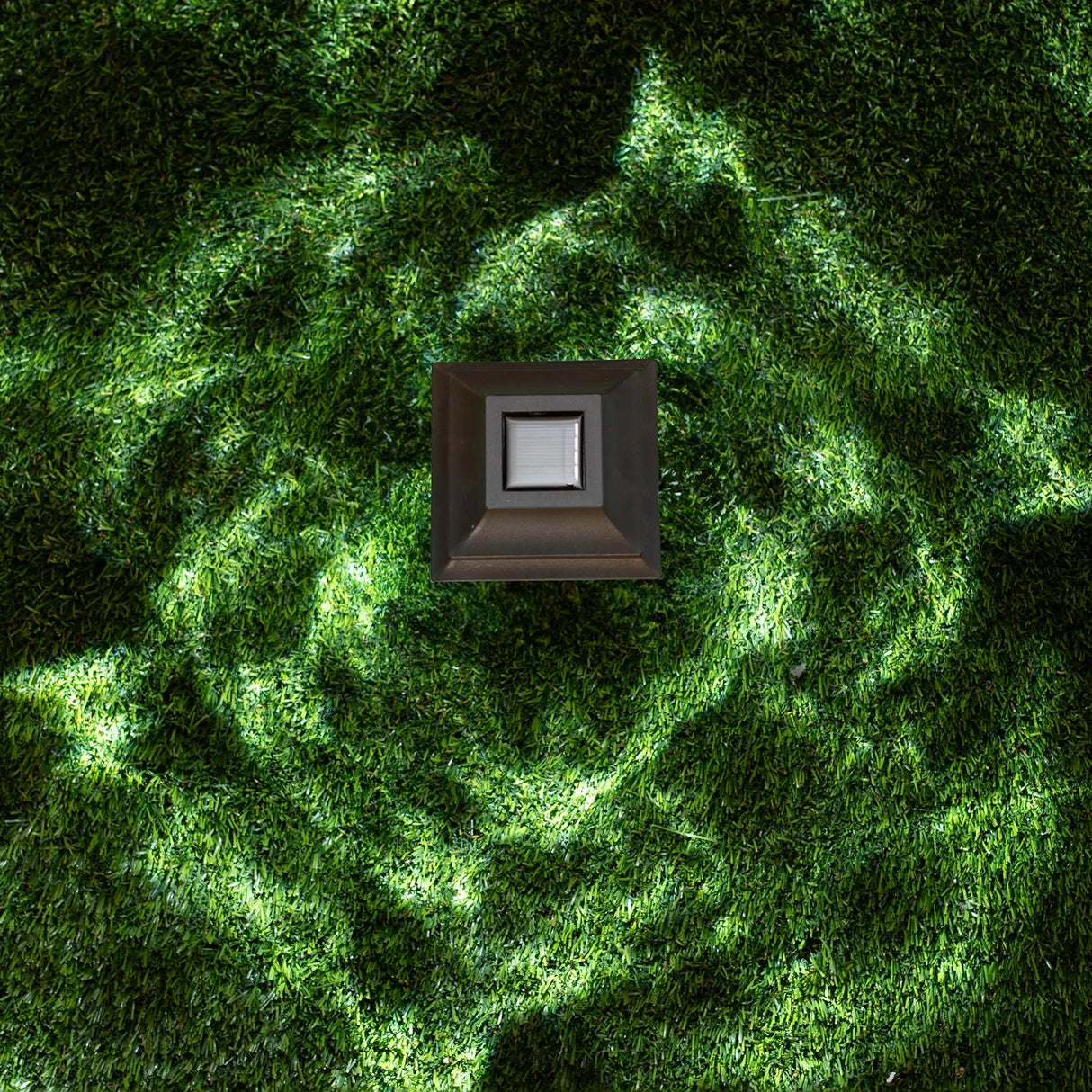 Collin Solar Pathway Lights, Set of 4 ShopFGI