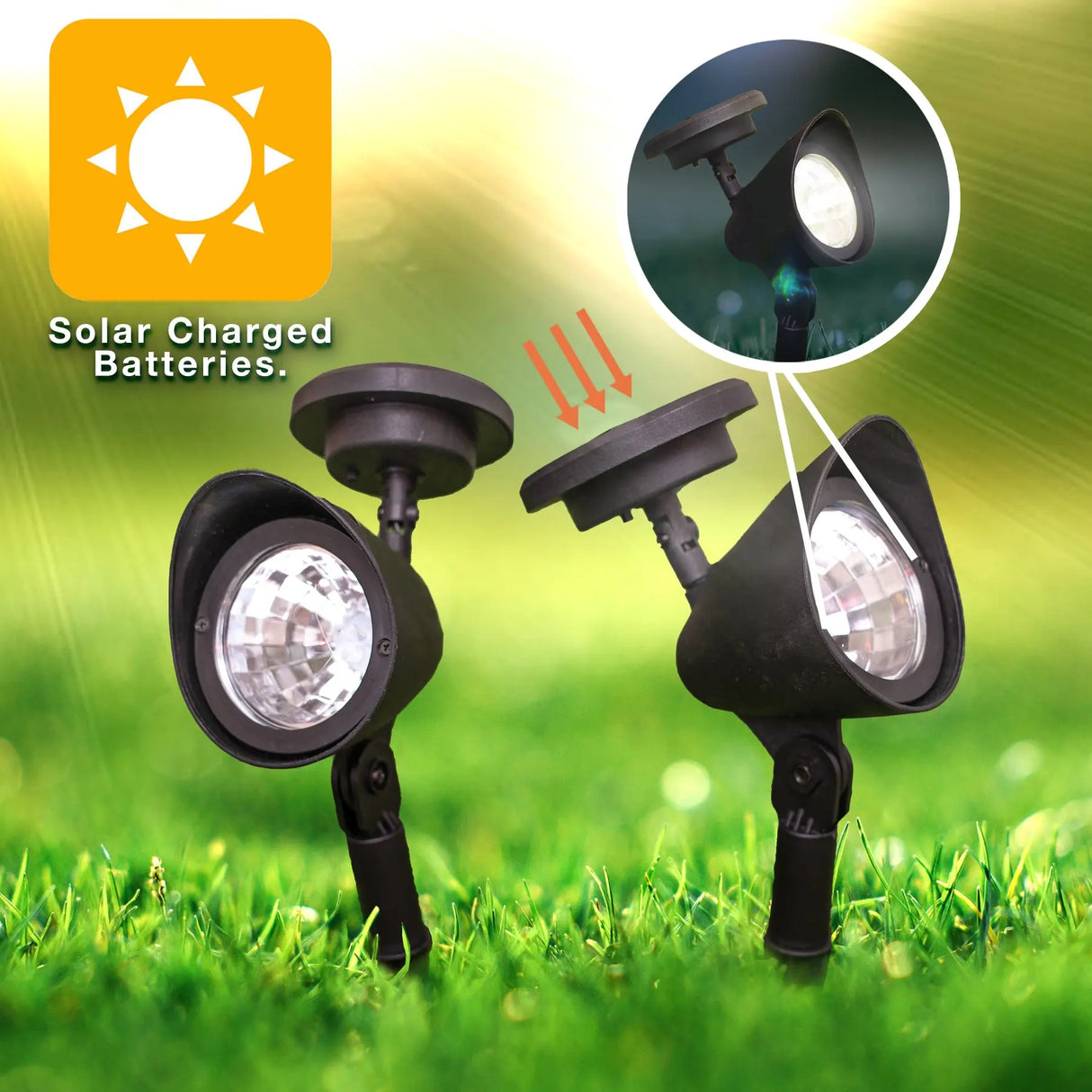 Solar Spotlight, Set of 1 (Black) ShopFGI