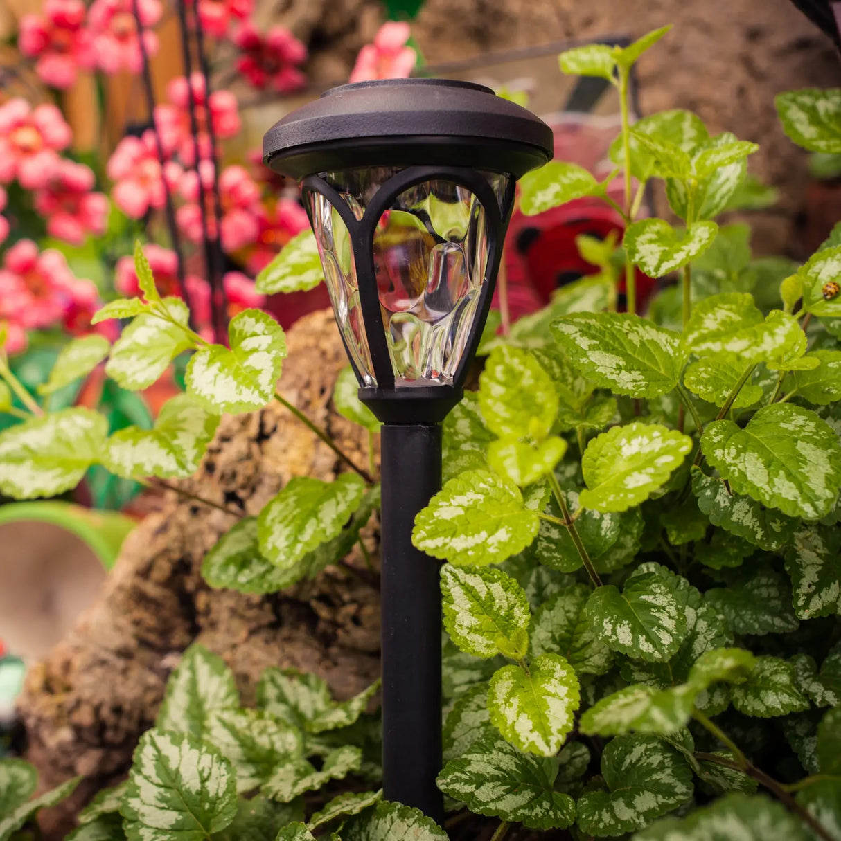 Melrose Solar Pathway Lights ShopFGI
