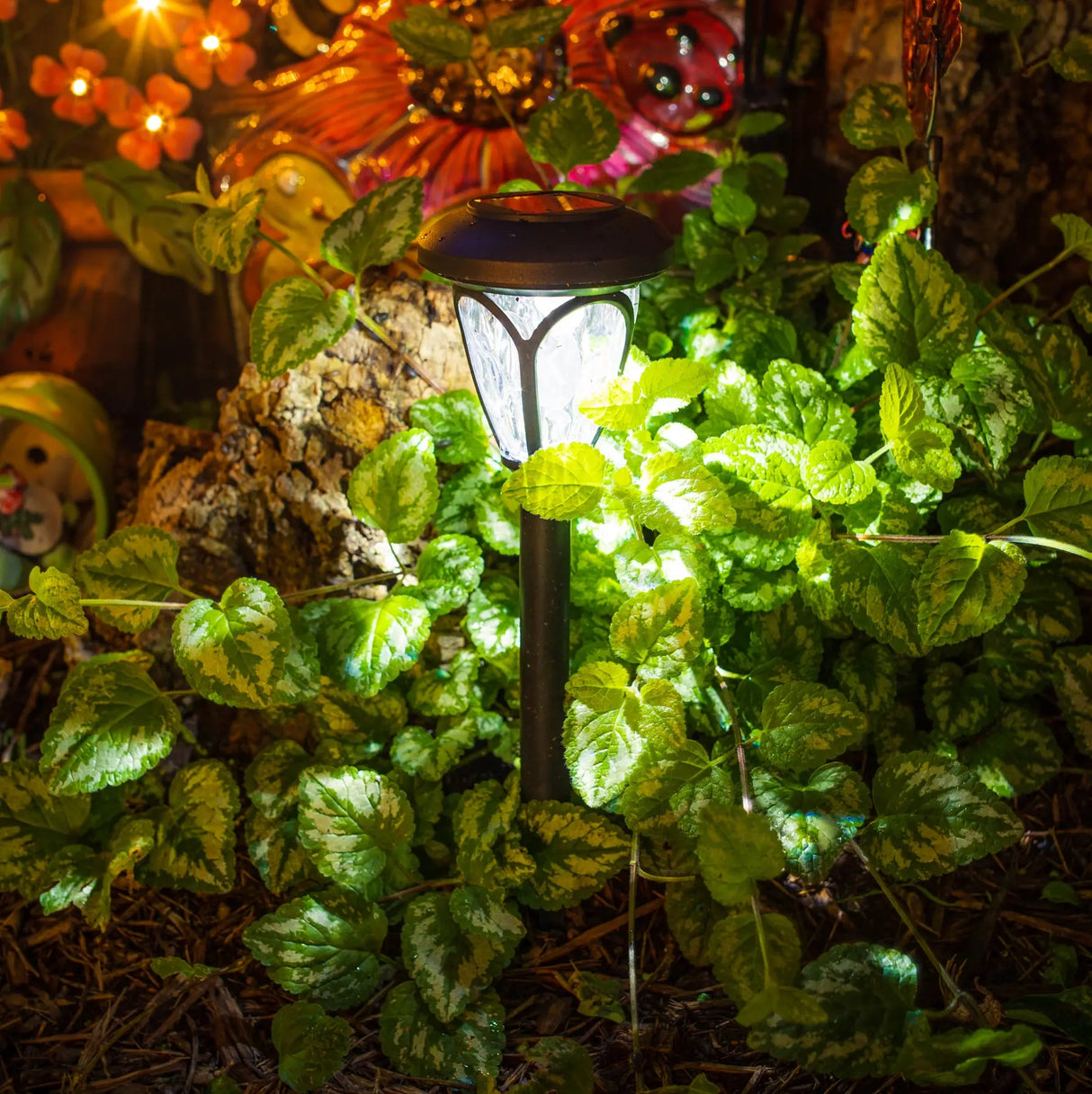 Melrose Solar Pathway Lights ShopFGI