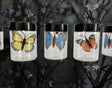 Butterfly Jar Solar String Light, 10 Count Light Crosslight