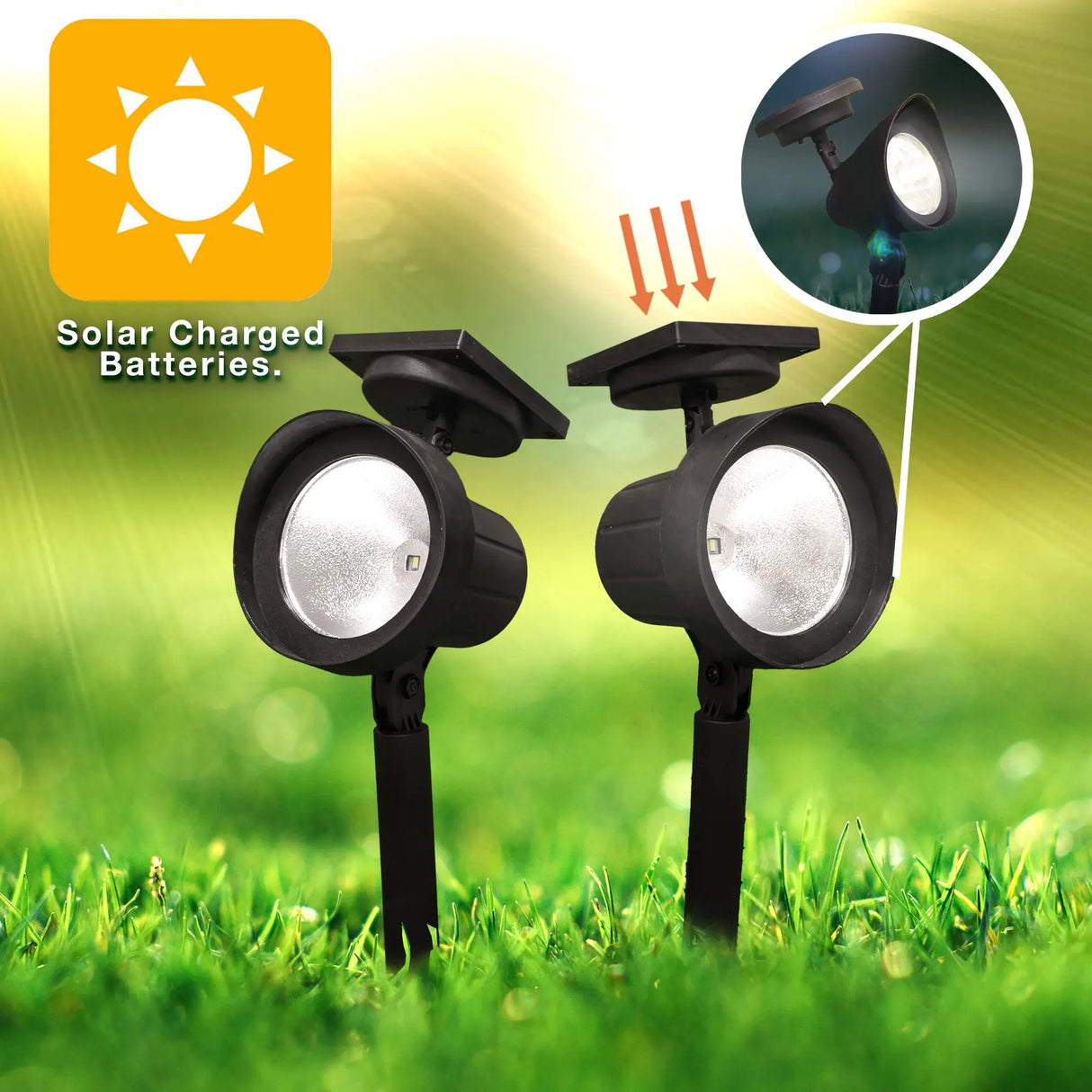 Solar Spotlight, Set of 1 (Black) ShopFGI
