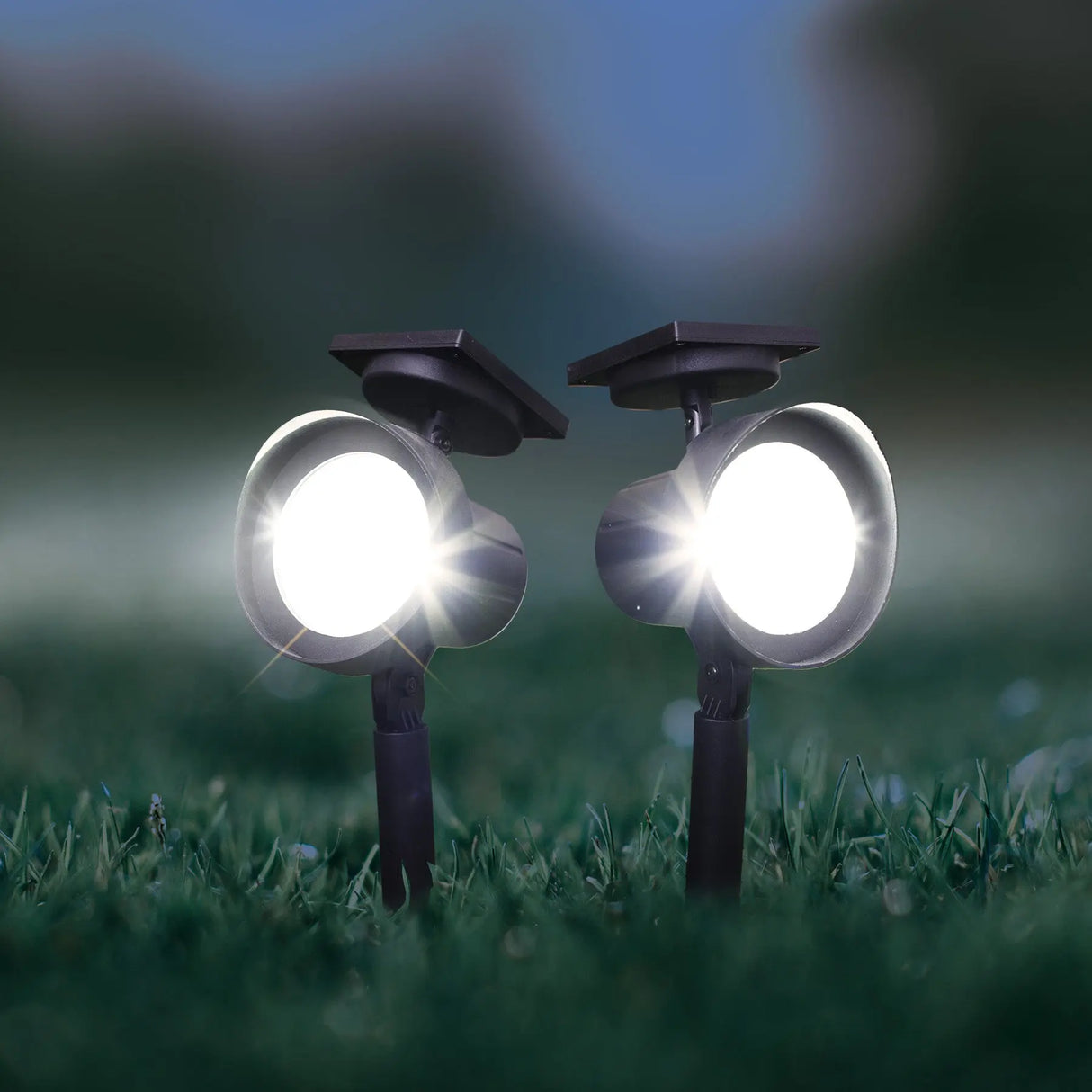 Solar Spotlight, Set of 1 (Black) ShopFGI