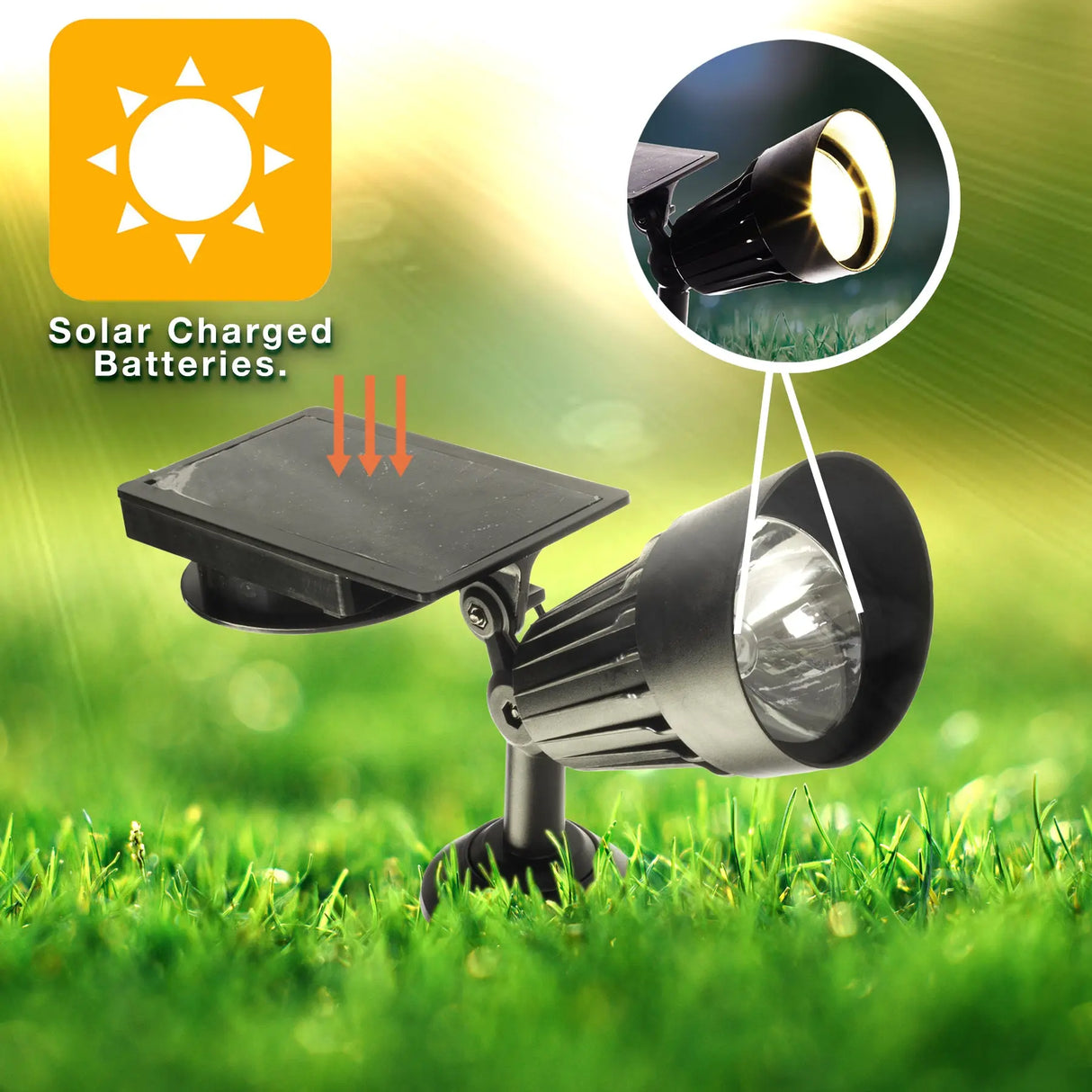 Outdoor Solar Spotlight 50 Lumens, Set of 1 (Black) Crosslight