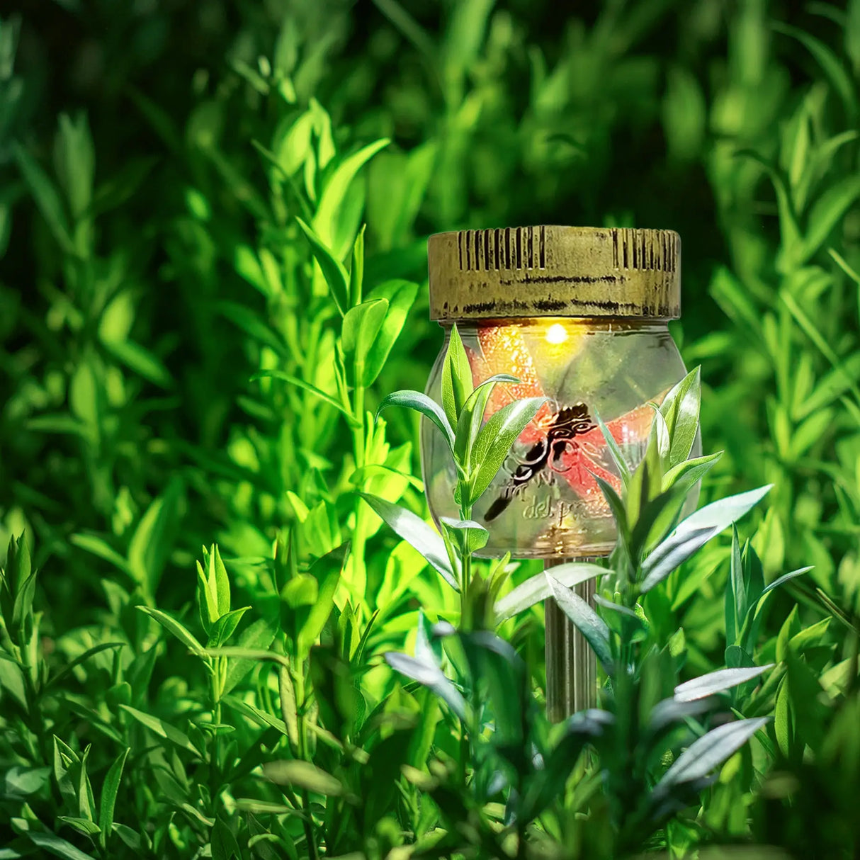 Dragonfly Jar Solar Pathway Light, Set of 3 ShopFGI