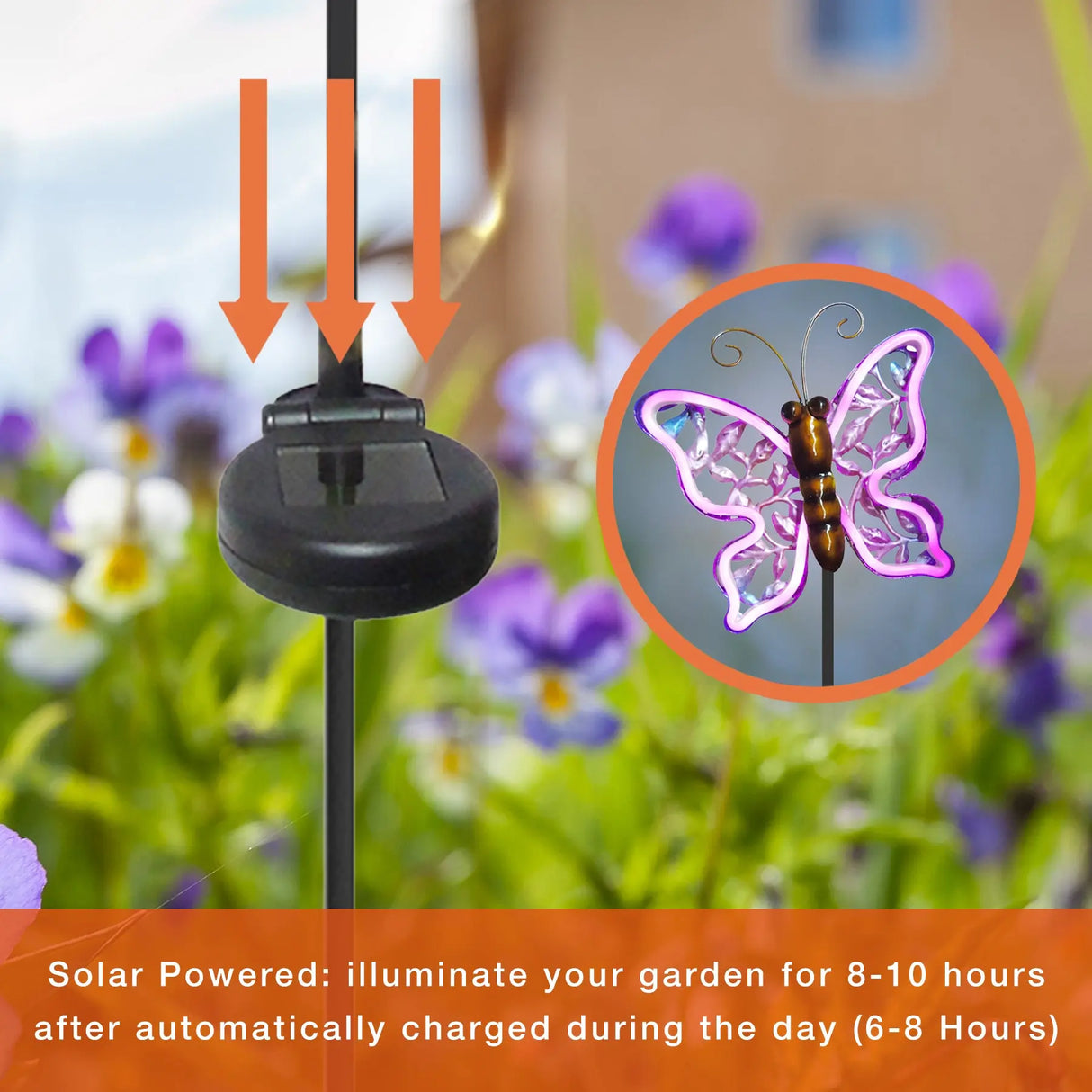 Neon Butterfly Solar Stake Light ShopFGI