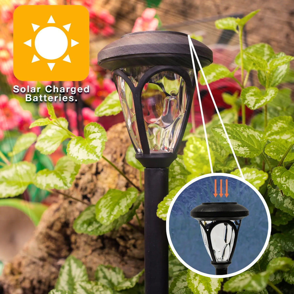 Melrose Solar Pathway Lights ShopFGI