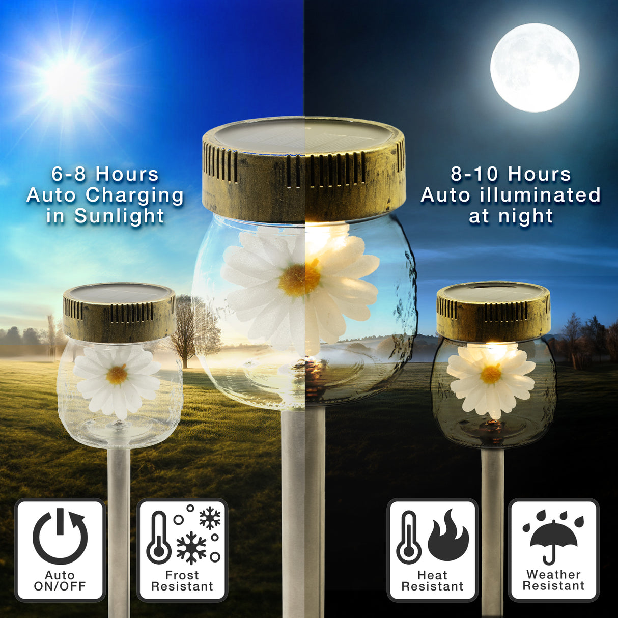 Daisy Flower Jar Solar Pathway Light, Set of 3