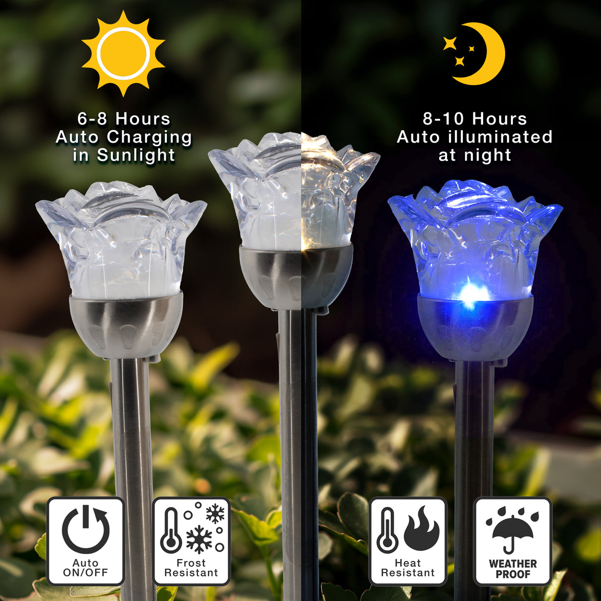 4 pack Rose Solar LED Walkway Decorative Light, Illuminate your Garden | Perfect for Outdoor Pathways, Front Porch, Yards, Driveways (Black, Warm White) ShopFGI