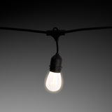 Classic Bulb LED String Lights, Warm White