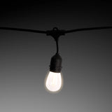 Classic Bulb LED String Lights, Warm White ShopFGI