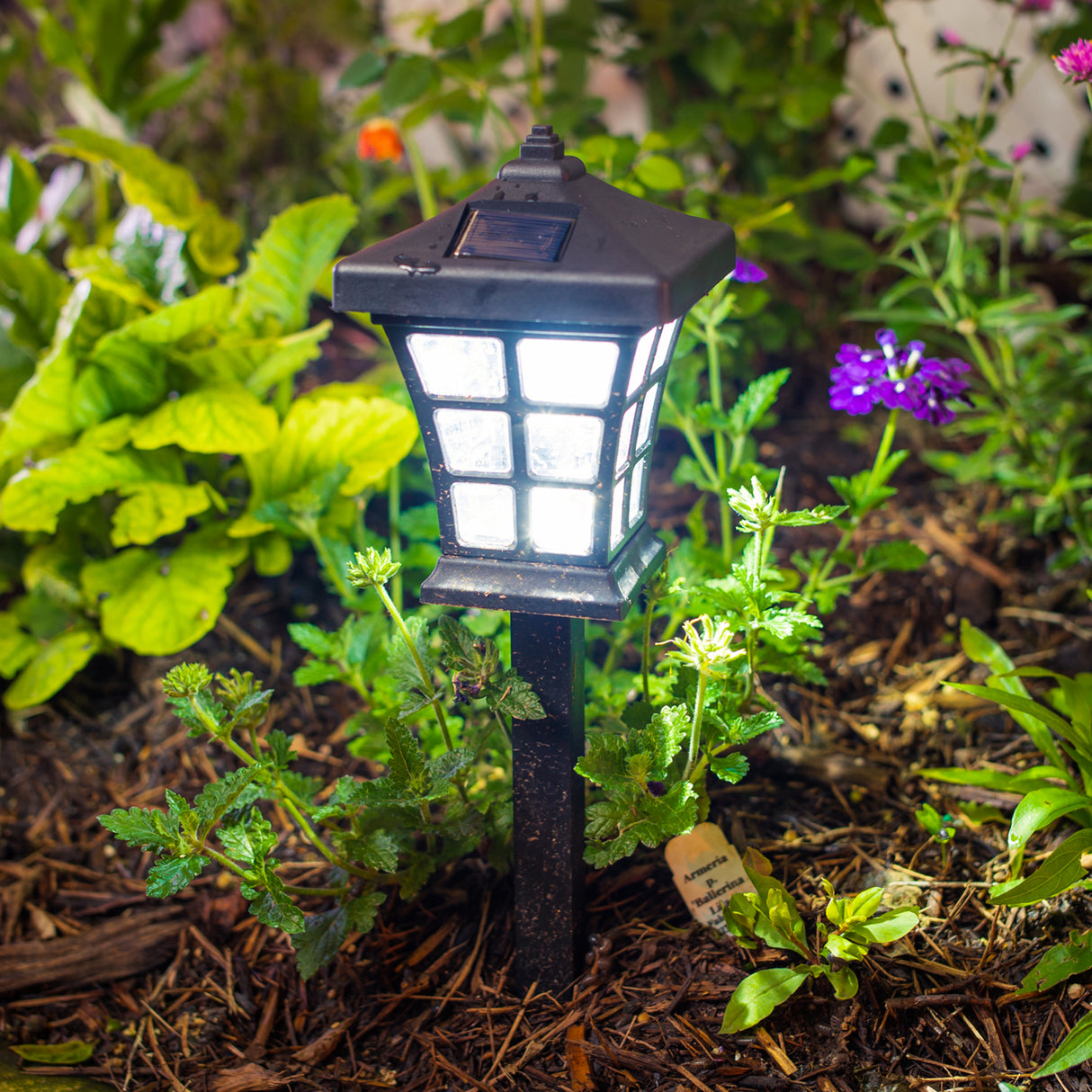 6 Pack Pagoda Solar Walkway Decorative Light, Illuminate your Garden | Perfect for Outdoor Pathways, Front Porch, Yards, Driveways (Black, Warm White)